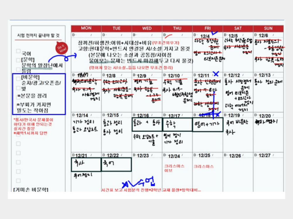 개인맞춤 커리큘럼 화면